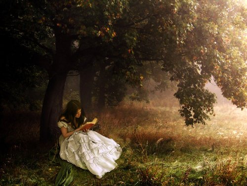 O encanto da leitura