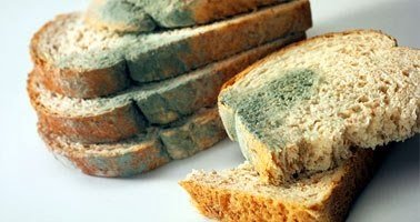 STF tem de decidir até sobre pães mofados